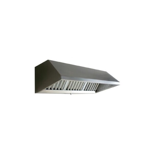Campana extractora modelo 3123 (200x80x55)